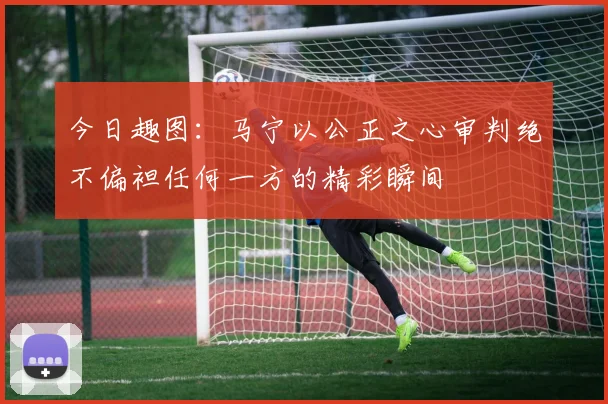 今日趣图：马宁以公正之心审判绝不偏袒任何一方的精彩瞬间